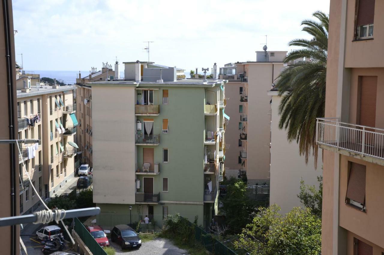 Il Nido Di Con Park Auto Macchine Piccole Segmento B Apartment